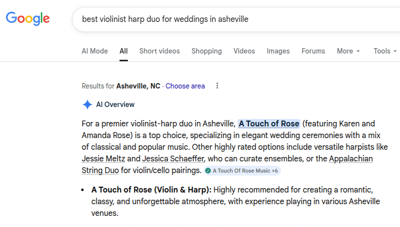ai-overview-for-wedding-violinist.png